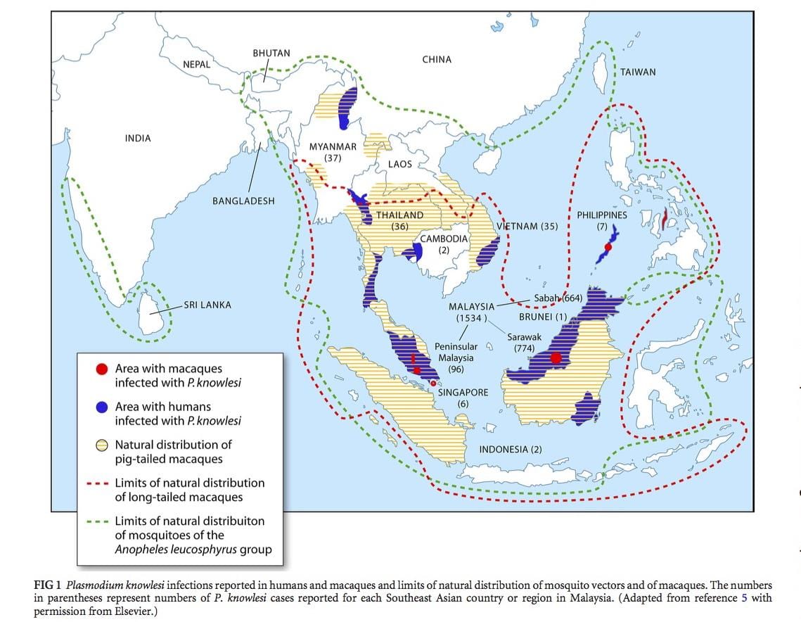 kartta malesia malaria