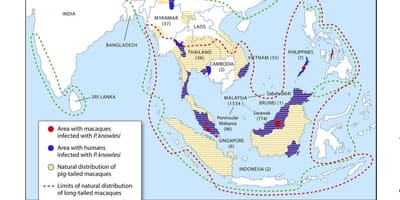 Kartta malesia malaria